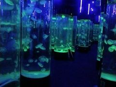 -成都浩海立方海洋公园