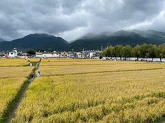 -喜林苑·稻田餐厅(品相府店)