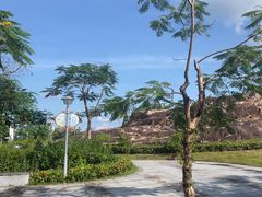 -广州白江湖森林公园