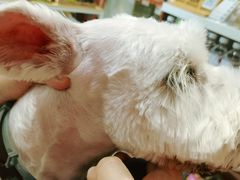 -汤姆宠物(长青北路店)