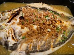 -蜀渔港·鱼缸烤鱼店(华山珑城店)