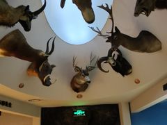 -陕西自然博物馆