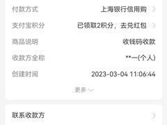 -清真李唯一优质肉丸糊辣汤