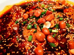 -眉州东坡(民族园店)