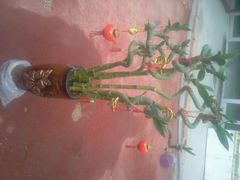 -荣誉国际酒店-云顶旋转餐厅