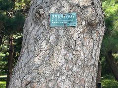 -北陵公园