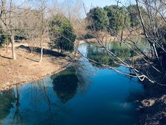 -梁鸿国家湿地公园