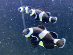 -沈阳海洋探索中心