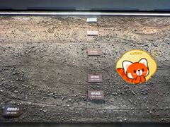 -隋唐大运河文化博物馆