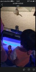 -未来动物城动物主题公园(大悦城店)