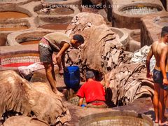 -穆莱拉赫制革厂