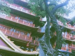 -大佛寺高级素食自助餐厅