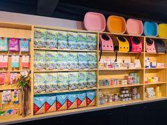-猫十亿·布偶金渐层·曼基康矮脚猫舍(青年路店)