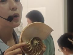 -青岛贝壳博物馆
