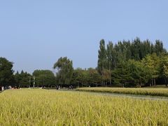 -北坞公园