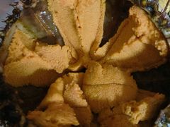 -HIHE Bistro·Oyster Bar(华熙live店)