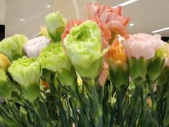 -花邻FloweringLife花艺气球派对(武康大楼店)