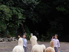 -昆明青龙峡风景区
