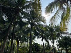 -三亚湾海居铂尔曼度假酒店