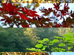 -南山风景名胜区