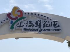 -上海鲜花港