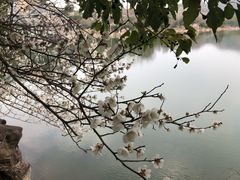 -白马涧龙池景区