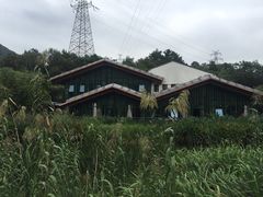 -西湖风景区-江洋畈生态公园