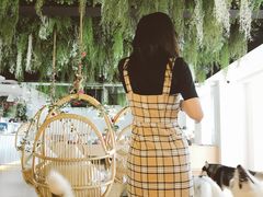 -Husky Go! 哈士奇体验馆·宠物咖啡厅狗咖