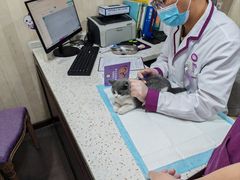 -宠爱国际动物医院·消化内科·心肾内科·ISFM猫友好(望京店)