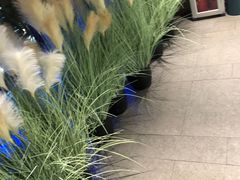 -野妹火锅(龙岗店)