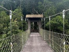 -海南热带雨林国家公园吊罗山景区