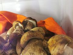 -菌之家·专业纯野生菌火锅·特色炒菌
