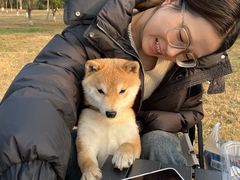 -白鹭湾湿地公园