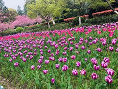 -范蠡湖公园