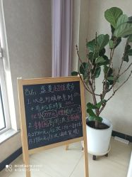 -韩国odri奥黛丽皮肤管理中心