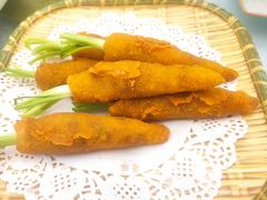 -丁老爷子苏香圆