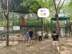 -优沃得自然教育农场·冰雪乐园·生日会·研学