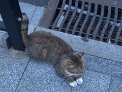 -上海神旺大酒店