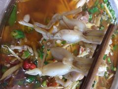 美蛙居-美蛙居
