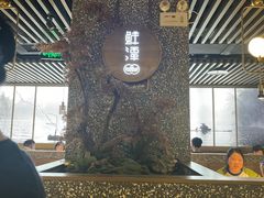 -鲜潭蒸汽石锅鱼(五道口购物中心店)