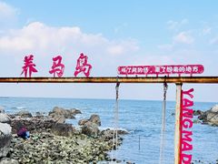 -养马岛旅游度假区
