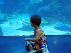 -成都浩海立方海洋公园