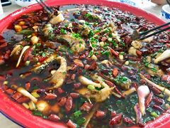 -东吴霸王兔(松青路店)