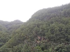 -牛背梁国家森林公园