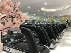 -葆姿普拉提·瑜伽