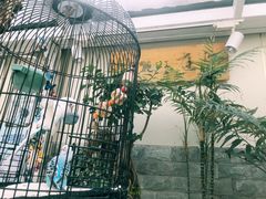 -丽江庭院之丽江往事(安定门店)