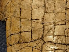 -盘龙城国家考古遗址公园