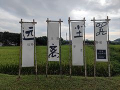 -光明小镇欢乐田园