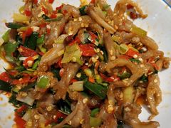 鸭掌筋-壹盏灯(惠农店)