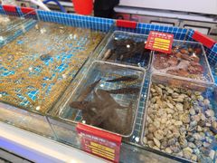 -驻海渔市(置信店)